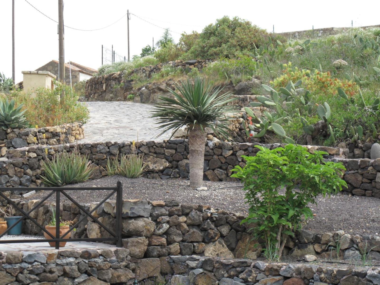 Casa Rural Vera De La Hoya San Miguel de Abona Extérieur photo